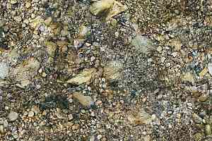Ковролин Flotex Vision Image 000368 Riverbed фото  | FLOORDEALER